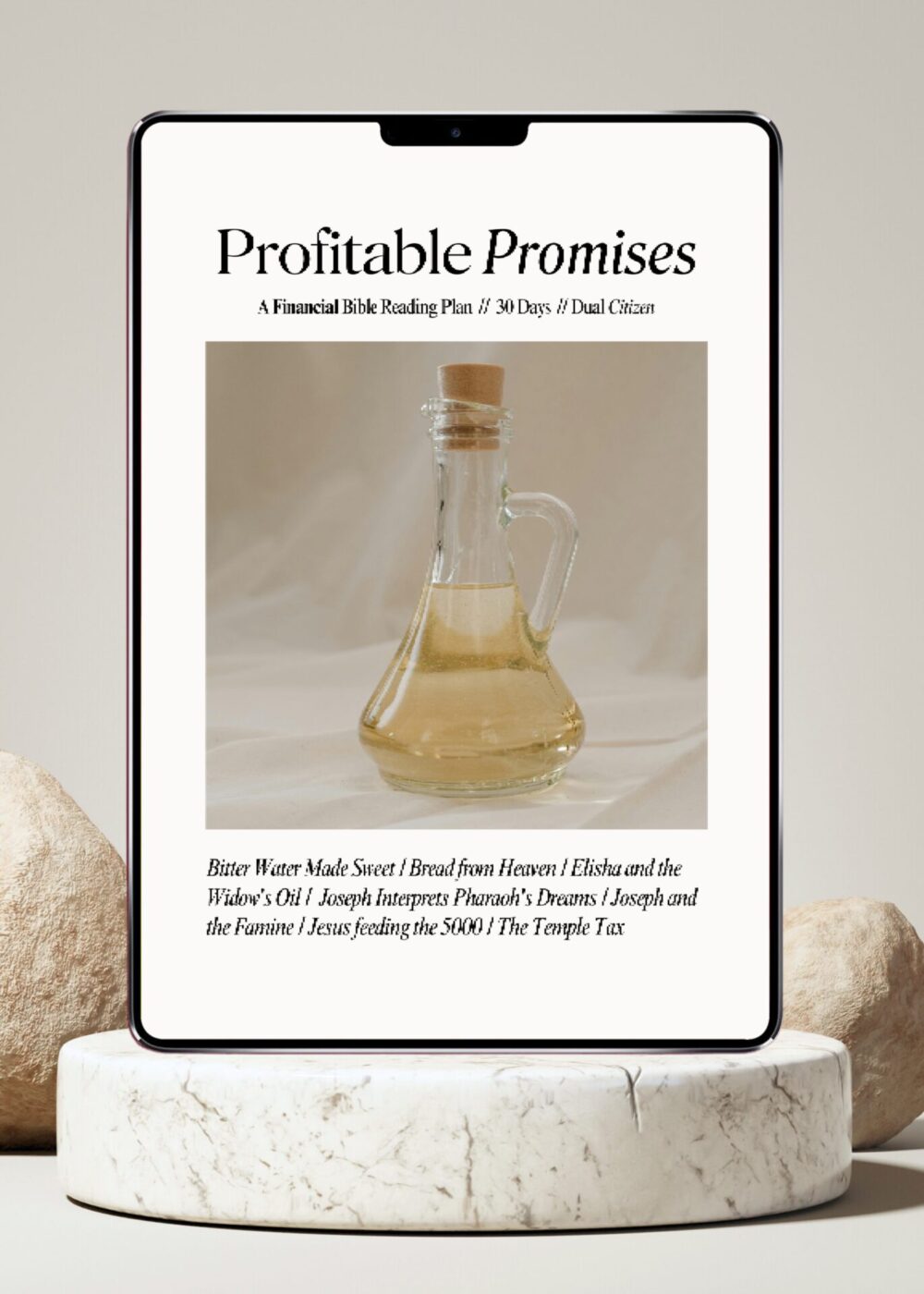 Profitable Promises 30-Day Reading Plan (Digital) - Image 3